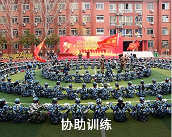 协助训练